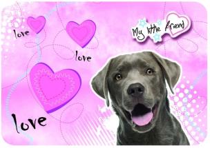 Opakowanie Podkład laminowany A3 My Little Friend