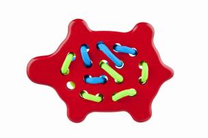 Okładka książki Przeszywanka Żółw Czerwony