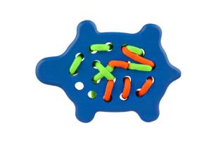 Okładka książki Przeszywanka Żółw Niebieski