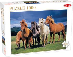 Opakowanie Puzzle Camargue horses 1000