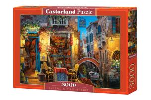 Opakowanie Puzzle Our Special Place in Venice 3000