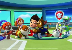 Opakowanie Puzzle Psi Patrol 2 x 12