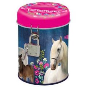 Opakowanie Skarbonka z kłódką Konie 11 DERFORM