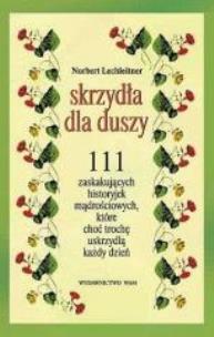 Okładka książki Skrzydła dla duszy
