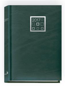 Opakowanie Terminarz 2017 A5 standard - zielony