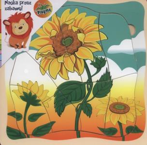 Opakowanie Układanka drewniana Słonecznik