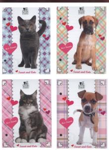 Opakowanie Wkład do segregatora A6 Cleo 1 Frank 10 sztuk mix