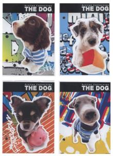 Opakowanie Wkład do segregatora A6 The Dog 10 sztuk mix