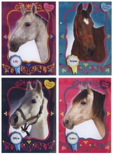 Okładka książki Wkłady do segregatora A5 Konie 10 sztuk mix