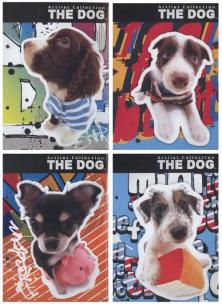 Opakowanie Wkłady do segregatora A5 The Dog 10 sztuk mix