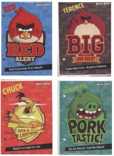Opakowanie Wkłady do segregatora A6 Angry Birds 10 sztuk mix