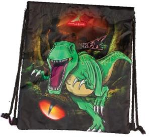 Opakowanie Worek na buty T-Rex