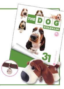 Opakowanie Dog Kolekcja 31 Bassethound
