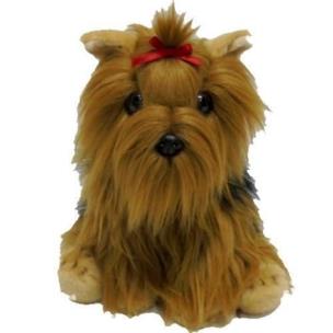 Okładka książki Fluffy Fam York 30 cm