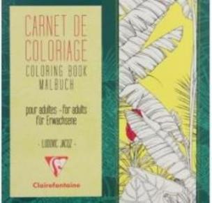 Opakowanie Kolorowanka dla dorosłych Kwiaty