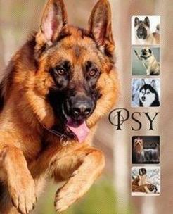 Okładka książki Psy