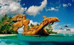 Opakowanie Puzzle 1000 Dolphin Paradise CASTOR