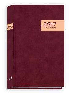 Opakowanie Terminarz 2017 Futuro - brązowy