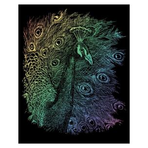 Opakowanie Wydrapywanka tęczowa Paw