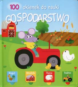 Okładka książki 100 okienek gospodarstwo