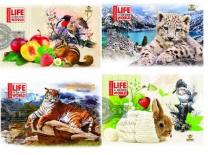 Opakowanie Album do rysowania A5/20K FRESH