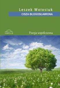 Cisza błogosławiona. Autor: Wołosiuk Leszek. Multiszop.pl Okładka książki Cisza błogosławiona