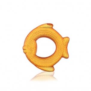 Okładka książki Gryzak wodny Rybka pomarańczowy