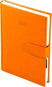 Okładka książki Kalendarz A5 dzienny na magnes Pomarańczowy