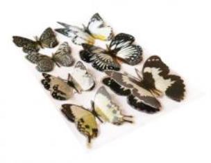 Opakowanie Motyle samoprzylepne 7 sztuk CRAFT SHOP