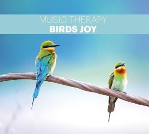 Okładka książki Music Therapy - Birds Joy (Szczęście w Przestworzach)