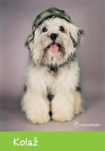 Opakowanie Papier kolorowy w teczce A4 Rachael Hale