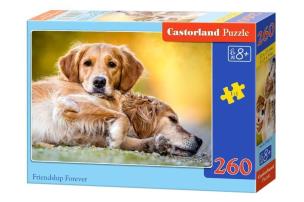 Opakowanie Puzzle 260 Friendship Forever