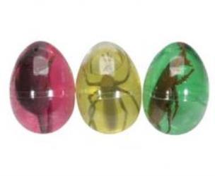 Opakowanie Robak w jajku