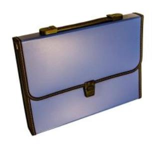 Opakowanie Teczka A4 12 przegródek z rączką niebieska DELI