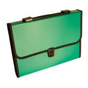 Opakowanie Teczka A4 12 przegródek z rączką zielona DELI