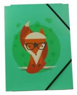 Opakowanie Teczka A4 Lis COLOR CREATION