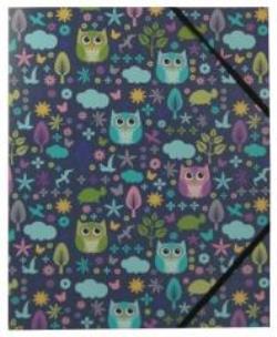 Opakowanie Teczka A4 Sowy COLOR CREATION