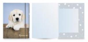 Opakowanie Teczka A4 z gumką Rachael Hale