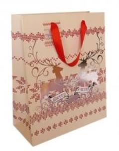 Opakowanie Torebka prezentowa 18x23 CHRISTMAS JOY