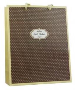 Opakowanie Torebka prezentowa 26x32 PAUL&CO