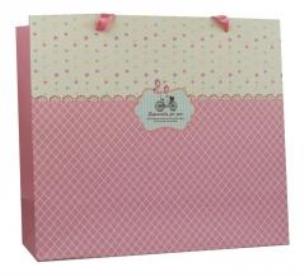 Opakowanie Torebka prezentowa 27x30 PAUL&CO.