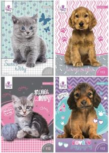 Okładka książki Wkład do segregatora Beniamin the sweet pets