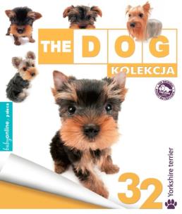 Opakowanie Yorkshire Terier