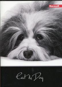 Opakowanie Zeszyt A5 w kratkę 96 kartek Cat&Dog