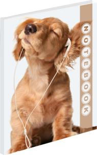 Opakowanie Brulion B5 160 kartek