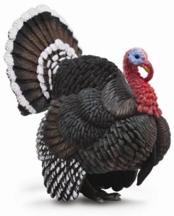 Opakowanie Collecta. Indyk