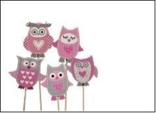 Opakowanie Dekoracja Sowy