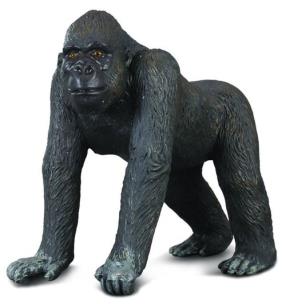 Opakowanie Goryl zachodni