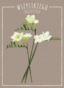 Opakowanie Karnet kwiaty akwarela Frezja 12x16,5 cm