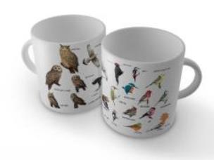 Okładka książki Kubek ptaki polski 2